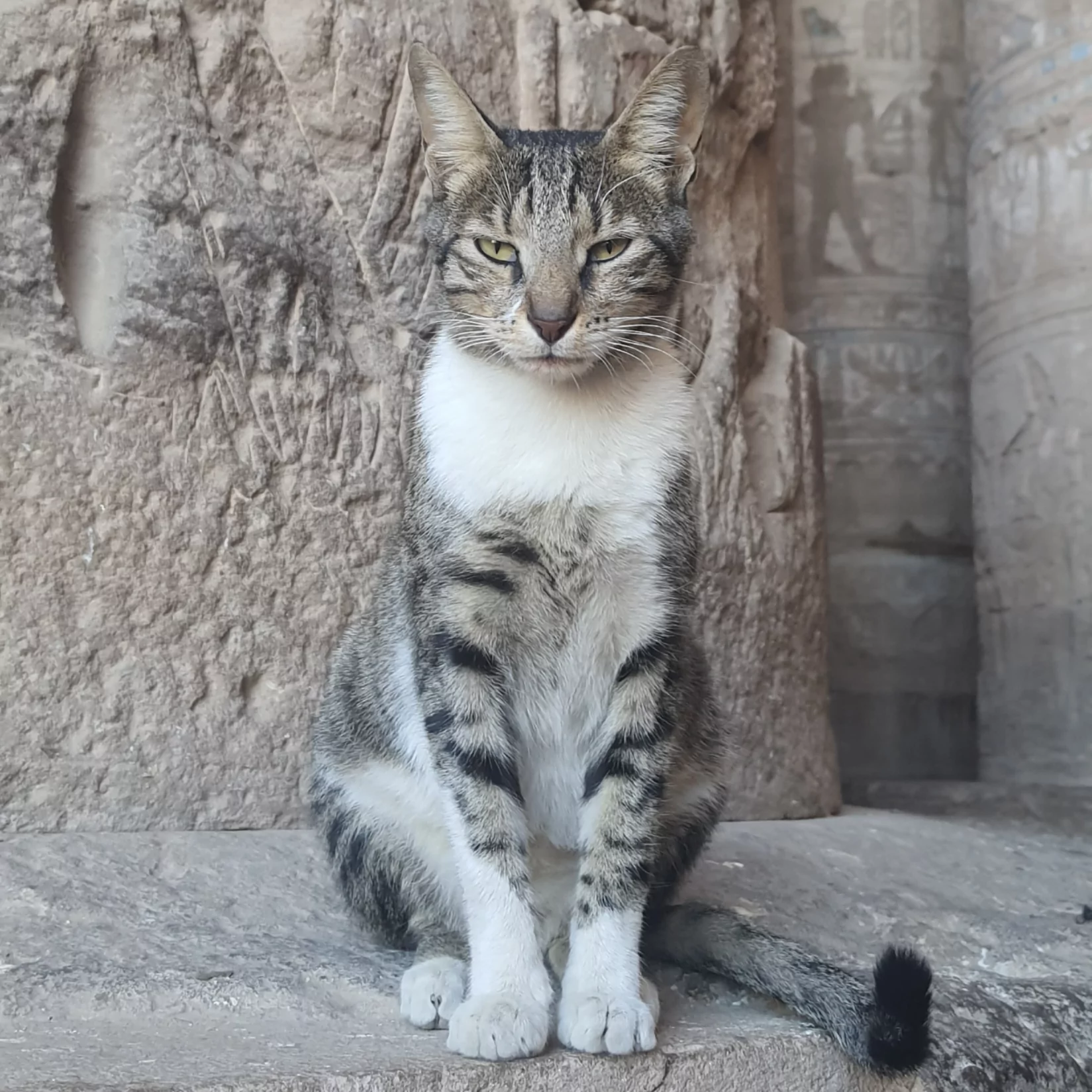Voyage Égypte 2